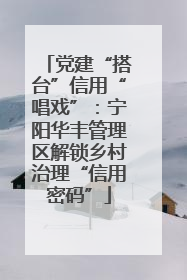 党建“搭台”信用“唱戏”：宁阳华丰管理区解锁乡村治理“信用密码”
