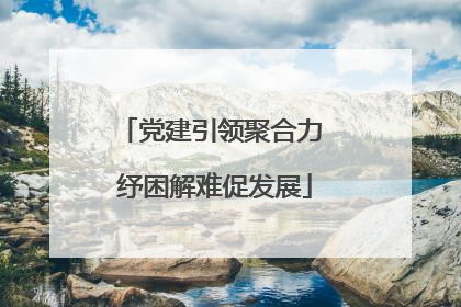 党建引领聚合力 纾困解难促发展