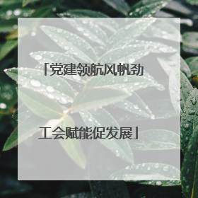 党建领航风帆劲 工会赋能促发展