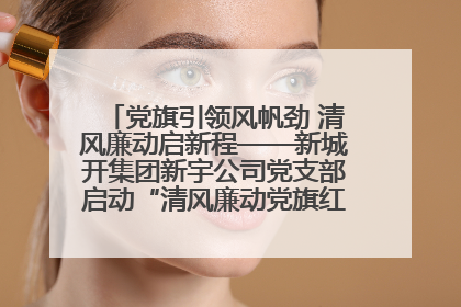 党旗引领风帆劲 清风廉动启新程——新城开集团新宇公司党支部启动“清风廉动党旗红”系列活动