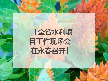 全省水利项目工作现场会在永春召开