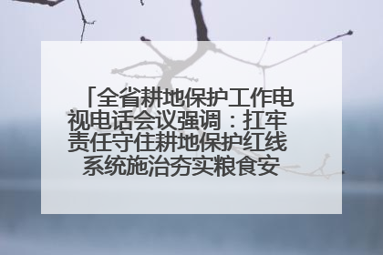 全省耕地保护工作电视电话会议强调：扛牢责任守住耕地保护红线 系统施治夯实粮食安全根基 王宁作出批示 王予波出席并讲话