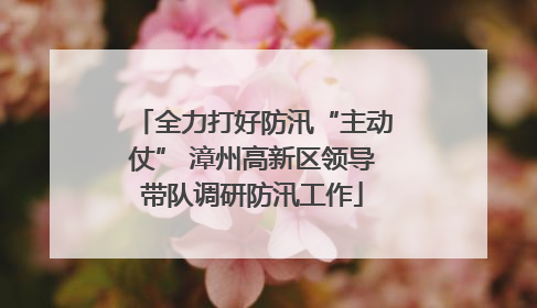 全力打好防汛“主动仗” 漳州高新区领导带队调研防汛工作