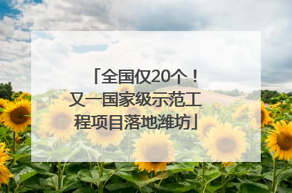 全国仅20个！又一国家级示范工程项目落地潍坊