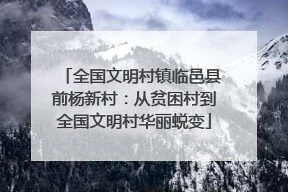 全国文明村镇临邑县前杨新村：从贫困村到全国文明村华丽蜕变