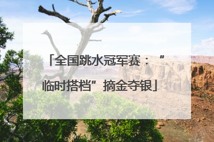 全国跳水冠军赛：“临时搭档”摘金夺银
