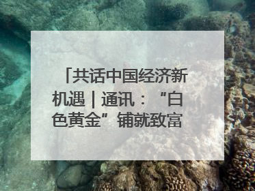 共话中国经济新机遇｜通讯：“白色黄金”铺就致富路——中国技术助力科特迪瓦橡胶产业增产增效