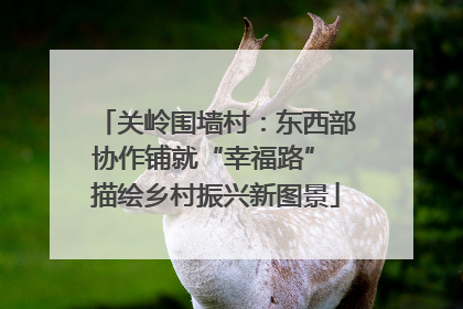 关岭围墙村：东西部协作铺就“幸福路” 描绘乡村振兴新图景