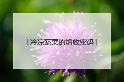 冷凉蔬菜的增收密码
