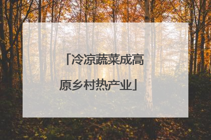 冷凉蔬菜成高原乡村热产业