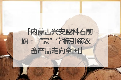 内蒙古兴安盟科右前旗：“蒙”字标引领农畜产品走向全国