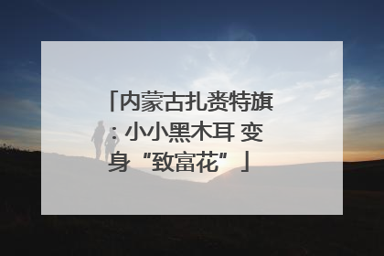 内蒙古扎赉特旗：小小黑木耳 变身“致富花”