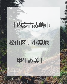 内蒙古赤峰市松山区：小湿地里生态美