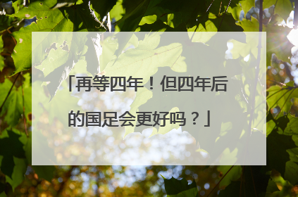 再等四年！但四年后的国足会更好吗？