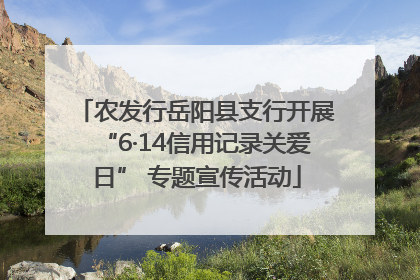 农发行岳阳县支行开展“6·14信用记录关爱日” 专题宣传活动
