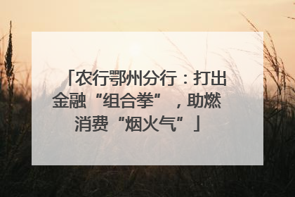 农行鄂州分行：打出金融“组合拳”，助燃消费“烟火气”