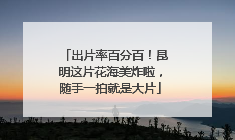 出片率百分百！昆明这片花海美炸啦，随手一拍就是大片