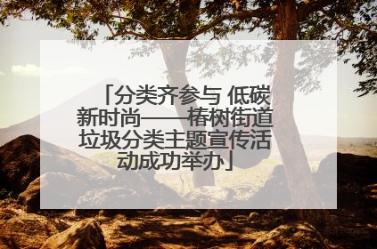 分类齐参与 低碳新时尚——椿树街道垃圾分类主题宣传活动成功举办