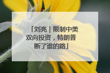 刘亮｜限制中美双向投资，特朗普断了谁的路