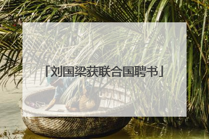 刘国梁获联合国聘书