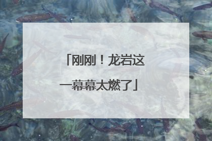 刚刚！龙岩这一幕幕太燃了
