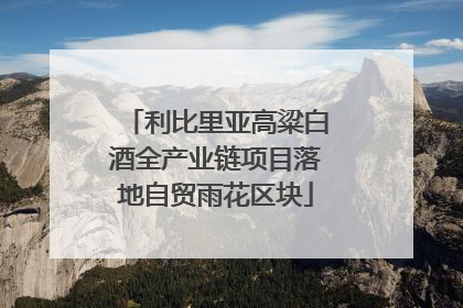 利比里亚高粱白酒全产业链项目落地自贸雨花区块