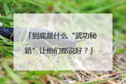 到底是什么“武功秘籍”让他们都说好？