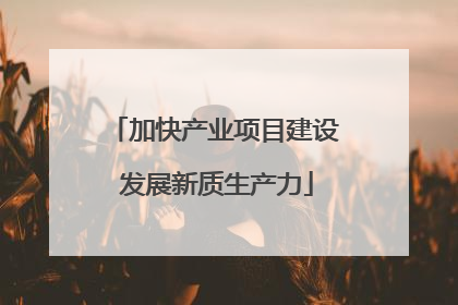 加快产业项目建设 发展新质生产力