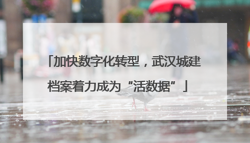加快数字化转型，武汉城建档案着力成为“活数据”