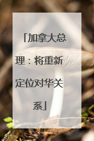 加拿大总理：将重新定位对华关系