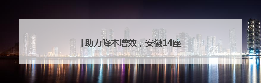 助力降本增效，安徽14座船闸已纳入“最强大脑”