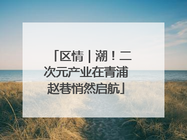 区情｜潮！二次元产业在青浦赵巷悄然启航