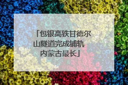 包银高铁甘德尔山隧道完成铺轨 内蒙古最长