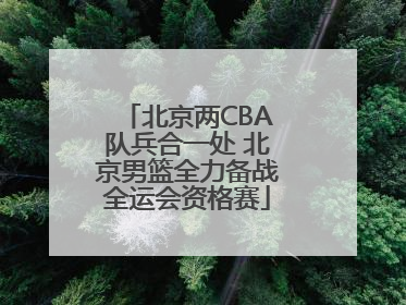 北京两CBA队兵合一处 北京男篮全力备战全运会资格赛