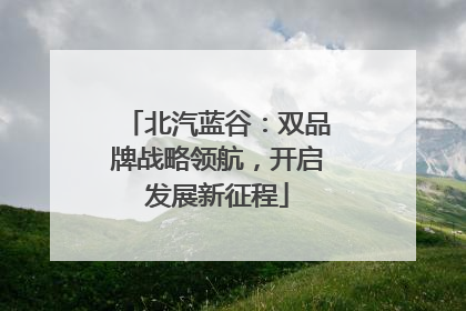 北汽蓝谷：双品牌战略领航，开启发展新征程