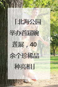 北海公园举办首届碗莲展，40余个珍稀品种亮相