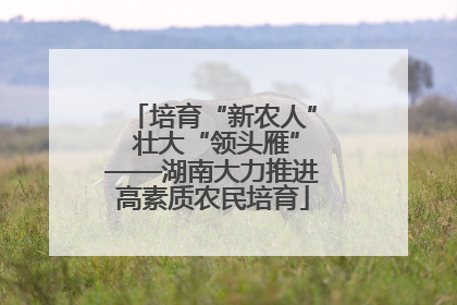 培育“新农人” 壮大“领头雁”——湖南大力推进高素质农民培育