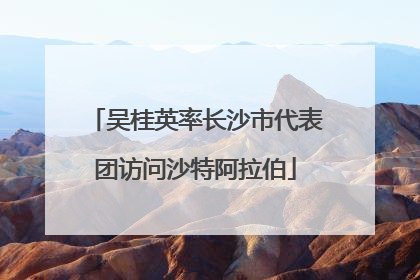 吴桂英率长沙市代表团访问沙特阿拉伯