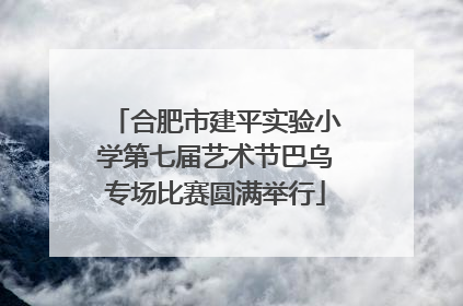 合肥市建平实验小学第七届艺术节巴乌专场比赛圆满举行