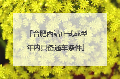 合肥西站正式成型 年内具备通车条件