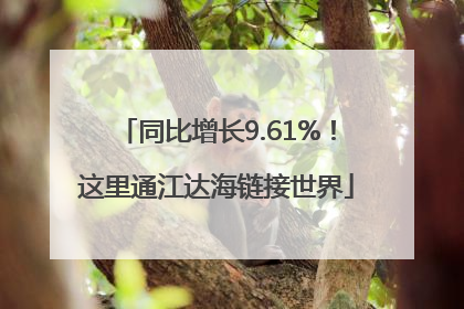 同比增长9.61%！这里通江达海链接世界