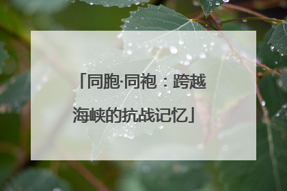 同胞·同袍：跨越海峡的抗战记忆