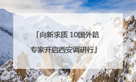向新求质 10国外籍专家开启西安调研行