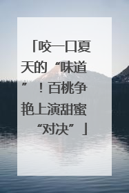 咬一口夏天的“味道”！百桃争艳上演甜蜜“对决”
