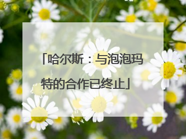 哈尔斯：与泡泡玛特的合作已终止