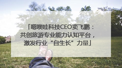 嗯噢哇科技CEO窦飞鹏：共创旅游专业能力认知平台，激发行业“自生长”力量