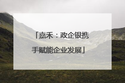 嘉禾：政企银携手赋能企业发展