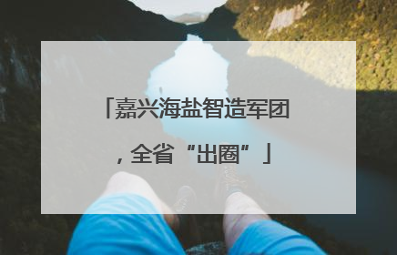 嘉兴海盐智造军团，全省“出圈”