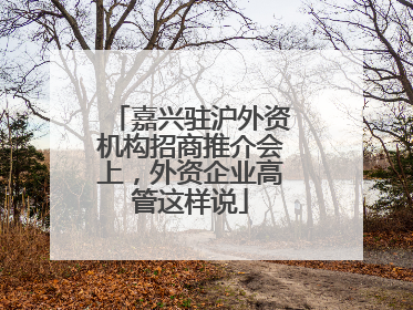 嘉兴驻沪外资机构招商推介会上，外资企业高管这样说