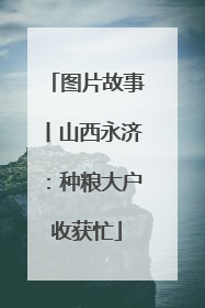 图片故事丨山西永济：种粮大户收获忙
